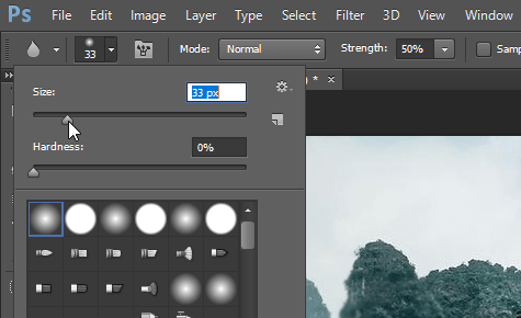 Cách Làm Mờ Ảnh Bằng Photoshop: Blur, Lasso Và Iris Blur Tool
