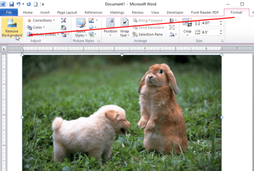 Tách ảnh bằng Photoshop và MS Word 2024: Tách ảnh bằng Photoshop và MS Word 2024 trở nên dễ dàng hơn bao giờ hết. Bạn có thể tách nền và chỉnh sửa ảnh một cách chuyên nghiệp trên cả hai phần mềm với nhiều tính năng đa dạng và tiên tiến. Từ việc chỉnh sửa hình ảnh, bố cục tài liệu đến chèn ảnh vào bài báo cáo, Word 2024 và Photoshop 2024 sẽ giúp bạn tạo ra những công việc đẹp mắt, chuyên nghiệp hơn bao giờ hết.