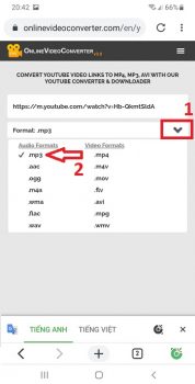 chọn định dạng Mp3 video Youtube