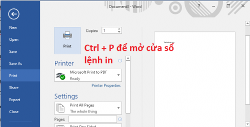 Ctrl + P hay F2 Mở ra cửa sổ thiết lập lệnh in 