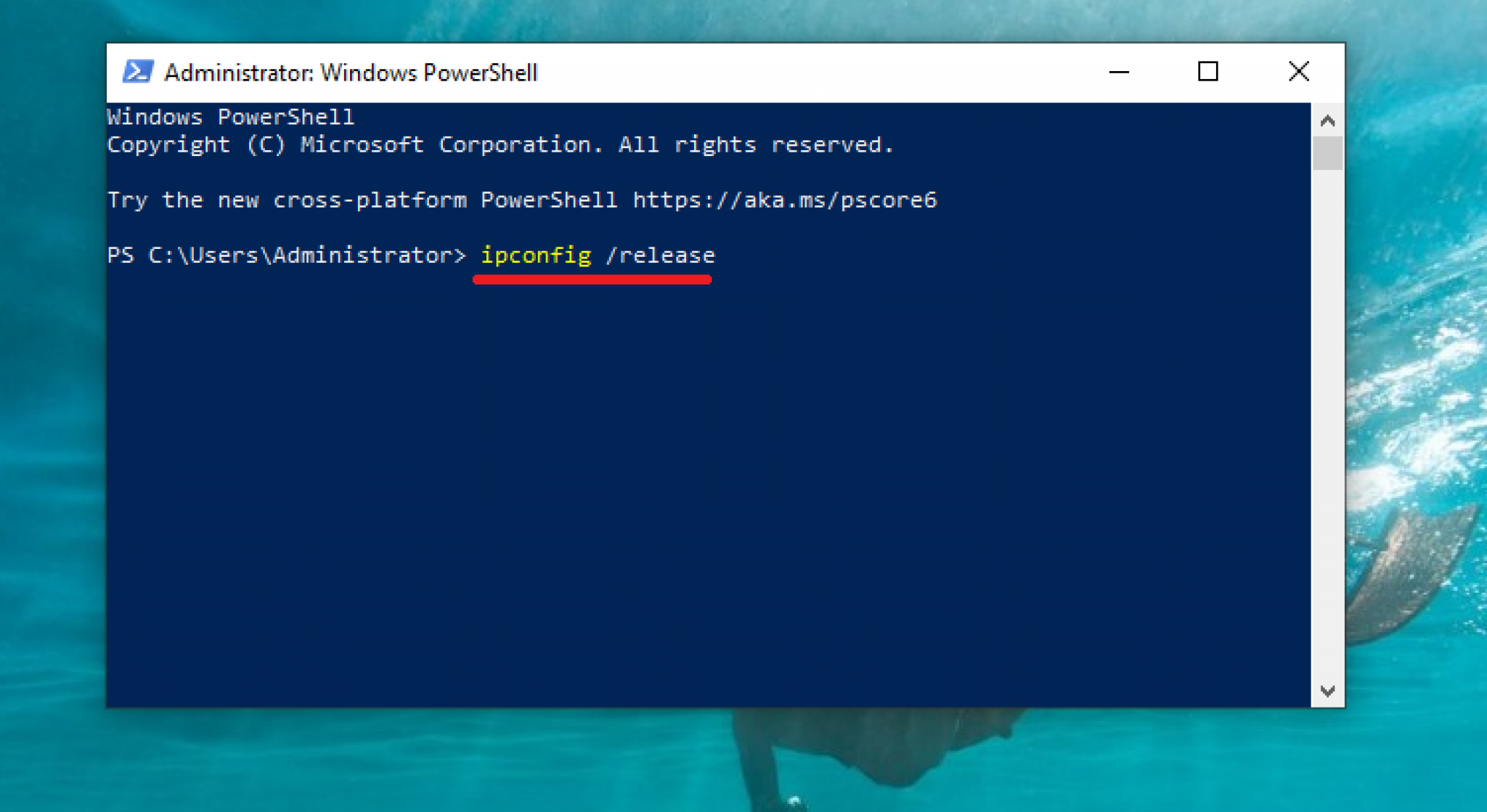 no ip duc windows 10 no ip duc windows 10