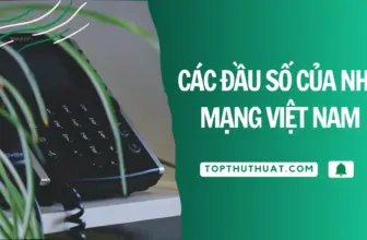 tim dau so mang di thoai