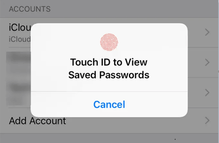 Xác minh danh tính của bạn bằng Touch ID hoặc Face ID