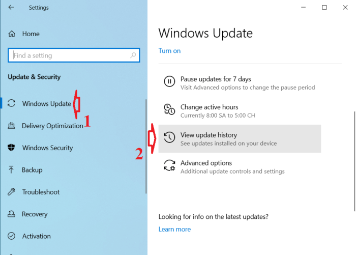 Gỡ bản cập nhật Windows 10 từ ứng dụng Cài đặt
