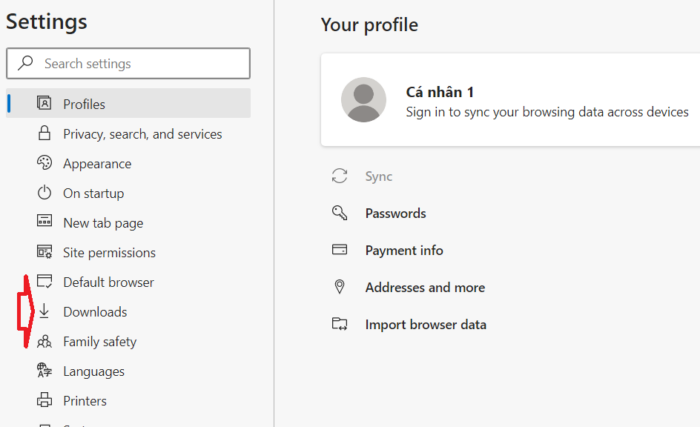 nhấn vào tùy chọn Downloads trong thanh bên trái