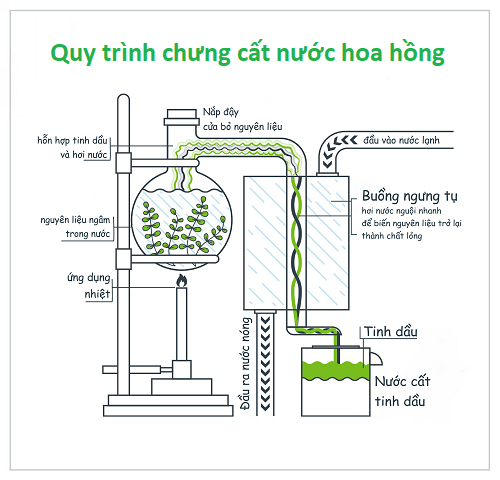 phan-biet-nuoc-hoa-hong-va-toner-1