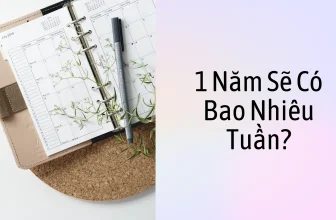 1 Năm Sẽ Có Bao Nhiêu Tuần Ngày Giờ Phút & Giây