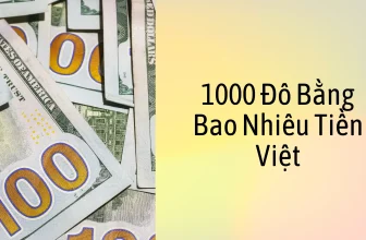 1000 usd