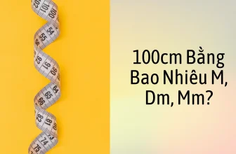 100cm to m