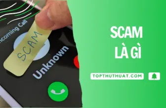 scam la gi