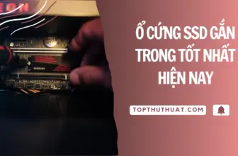 ssd gan trong