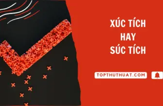 “Xúc tích” hay “Súc tích” – Từ Nào Đúng Chính Tả Nhất