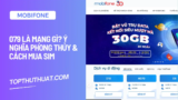 079 Là Mạng Gì? Ý Nghĩa Phong Thủy & Cách Mua Sim