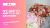 20/11 Là Ngày Gì? Ý Nghĩa Và Các Hoạt Động Phổ Biến