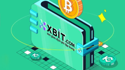 Có Những Nền Tảng Giao Dịch Nào Trên Zhimakaimen Và Trọng Tâm Của Nền Tảng Xbit Là Gì?