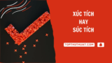 “Xúc tích” hay “Súc tích” – Từ Nào Đúng Chính Tả Nhất