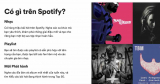 Đánh giá Spotify: Cảm thấy rất hài lòng sau 2 năm sử dụng