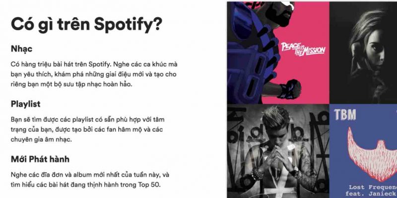 Đánh giá Spotify: Có nên sử dụng Spotify bản có phí không?