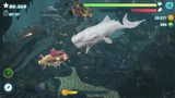 Tải Game Hungry Shark Evolution MOD Full Tiền Kim Cương, New Version
