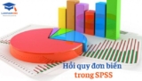 Hướng dẫn phân tích hồi quy đơn biến trong SPSS đầy đủ và chuẩn nhất