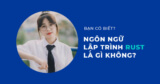 Ngôn ngữ lập trình Rust là gì? Học ngôn ngữ Rust có khó không?
